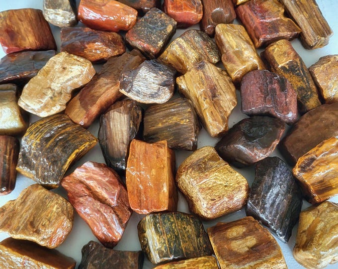 Petrified Wood Tumbling Rough, High Silica Content - US Shipping Included