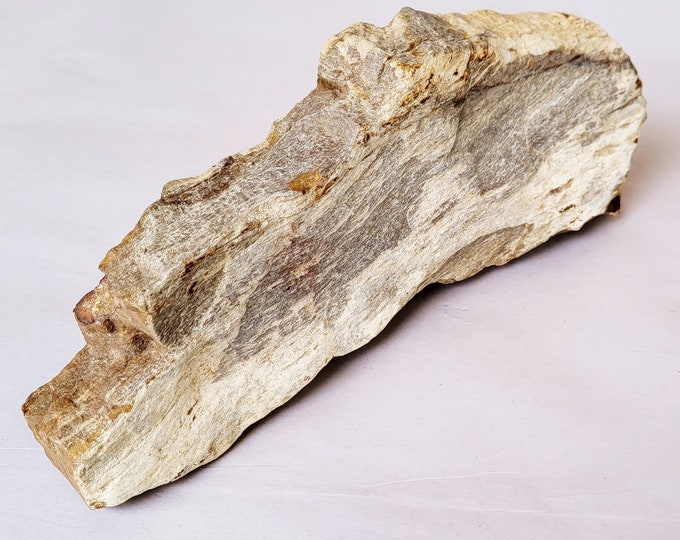 Petrified Wood Piece, Excellent Preserved Specimen - Free US Shipping
