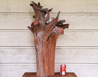 Large Cedar Root Section, Solid and Rustic Decor - FREE US Shipping