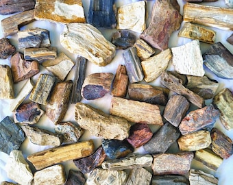Petrified Wood, 6 Pounds / 40 to 50 Pieces - US Shipping Included
