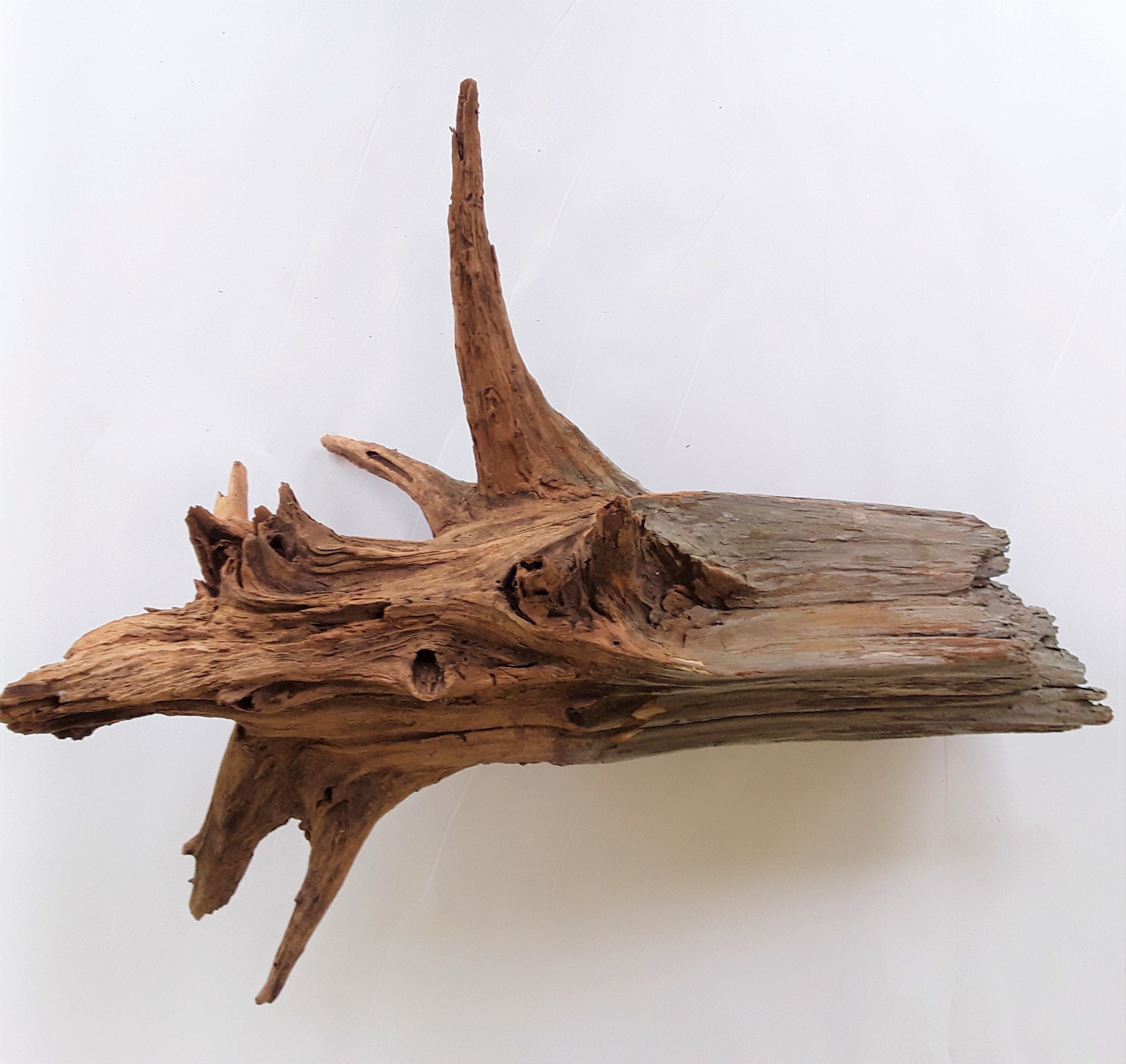 Three Weathered Cedar Stumps, Nice Rustic Appearance, FREE US Shipping