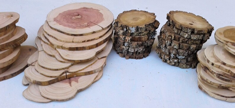 Elm Oak Mountain Cedar 50 Piece Tree Slice Assortment Red Cedar