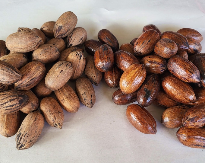 Pecans For Crafting, Natural or Clear Coat Finish - Shipping Included