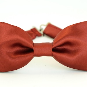 May include: A rust-colored satin bow tie with an adjustable strap.