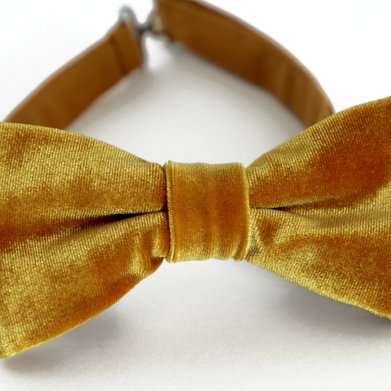 large gold bow tie