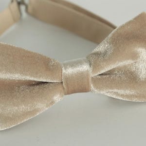 Champagne velvet bow tie, wedding bow tie, beige velvet groomsmen bow tie, ringboy bow tie, groom bow tie, ring bearer outfit