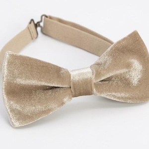 May include: A champagne-colored velvet bow tie featuring a soft, light-reflecting fabric texture. The bow tie includes an adjustable beige fabric neck strap with a metallic hook-and-eye closure mechanism for secure fastening around the neck.