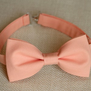 May include: A peach-coloured bow tie with an adjustable neckband. The bow tie is pre-tied and made of a smooth fabric. The neckband has a hook and eye closure. The bow tie is a formal accessory.