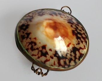 Vintage  pill box pendant made of  sea shell,  trinket box, collectible pill box  gift idea