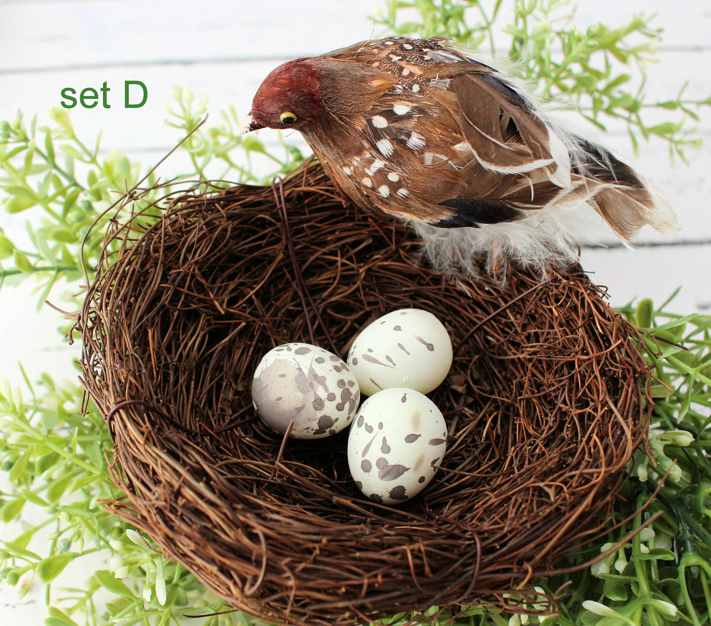 24 Realistic Speckled Faux Bird Eggs – 1.25" Blue, Brown & Cream Craft Decor