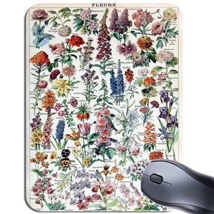 May include: A vintage botanical illustration of various flowers with their French names. The illustration is on a white background with a light brown border. The flowers are depicted in a variety of colours, including red, pink, yellow, blue, and purple.