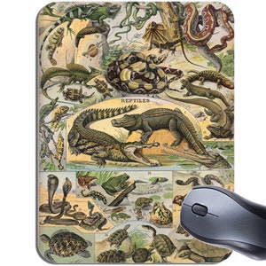 May include: A vintage illustration featuring a variety of reptiles, including crocodiles, lizards, snakes, and turtles. The illustration is in a colourful style with a white background and the word "REPTILES" in a black banner at the top.