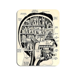 Może przedstawiać: Czarno-biała ilustracja ludzkiej głowy z przekrojem poprzecznym, pokazującym wewnętrzne działanie mózgu. Ilustracja jest opisana różnymi działami i funkcjami, takimi jak dział pamięci, dział mowy i instalacja klimatyzacyjna.