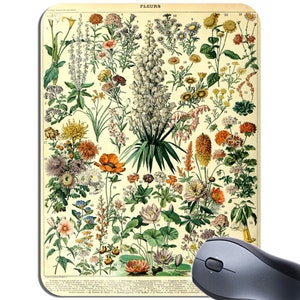 Adolphe Millot fleurs Blumen Mauspad Mousepad. Vintage botanische Stauden Kunst hochwertige Maus Pad Geschenk