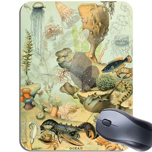 Può includere: Un'illustrazione vintage di varie creature marine e piante, tra cui un granchio a ferro di cavallo, un'aragosta, un pesce e una varietà di coralli e alghe. L'illustrazione è su uno sfondo blu chiaro con la parola "OCEAN" in basso.