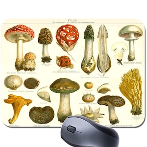 Vintage Mushrooms Botanical Chart Mouse Mat Mousepad. Arte de impressão alemã Pilze de alta qualidade Mouse Pad presente