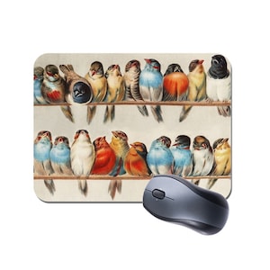 May include: A vintage illustration of a row of birds perched on a branch. The birds are all different colours and have different patterns on their feathers. The illustration is on a white background.