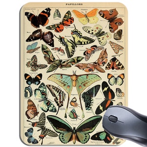 Pode incluir: Ilustração vintage de uma coleção de borboletas com seus nomes científicos. As borboletas são representadas em várias cores e padrões, incluindo azul, verde, laranja, amarelo e marrom. A ilustração está sobre um fundo creme com o título "PAPILLONS" no topo.