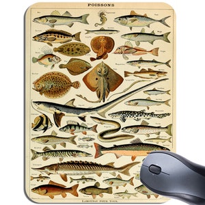 May include: Mouse mat with a vintage illustration of various fish species, labelled in French. The artwork shows detailed drawings of different fish, including rays, sharks, and other marine life. A grey wireless mouse is positioned to the right.