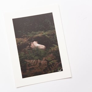 Sweden Wall Art Scandinavian Forest Nymph Fine Art Nude Prints 10x7.25 inch Photography Print Nature Body Study Stockholm, Sweden image 3