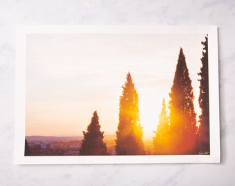 Cypress Trees at Sunset | Verona, Italy, Italia • 13x19 inch Print • Travel Photography • Europe • Wanderlust • Urban Nature Photography