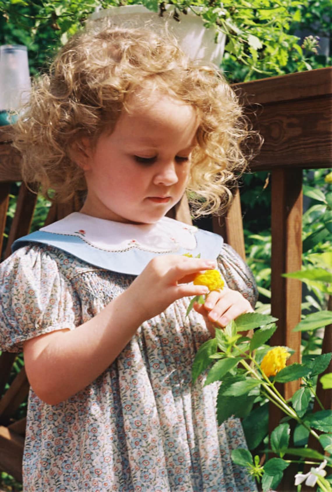 Yoke Dresses I sewing pattern by Collars Etc. Pattern Co. Etsy