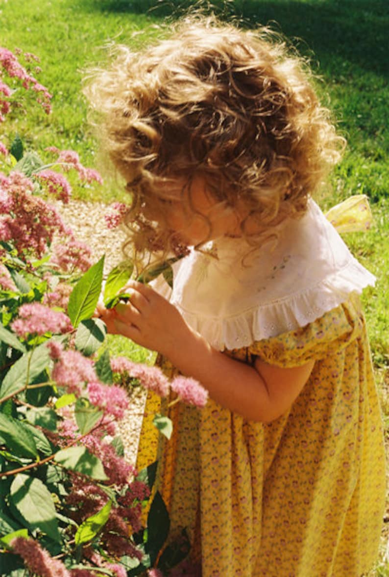 Yoke Dresses I sewing pattern by Collars Etc. Pattern Co. Etsy