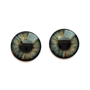 May include: Two realistic looking glass eyes with a black pupil and a green, brown, and grey iris.