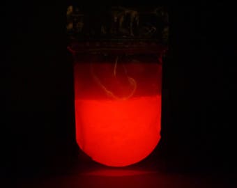 Gluminous Glow in the Dark Powder - Red - 1oz