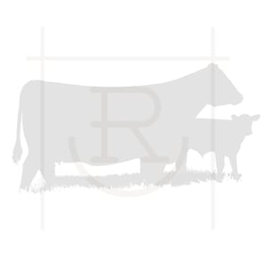 Personal Use Cow Calf Pair Graphic // Ranch Clipart // Cattle SVG // DXF // PNG // Instant Download