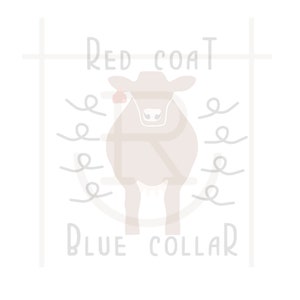 Commercial Use Red Angus Cattle Breed Graphic // Blue Collar // Livestock Clipart // Cattle SVG // DXF // PNG // Instant Download //