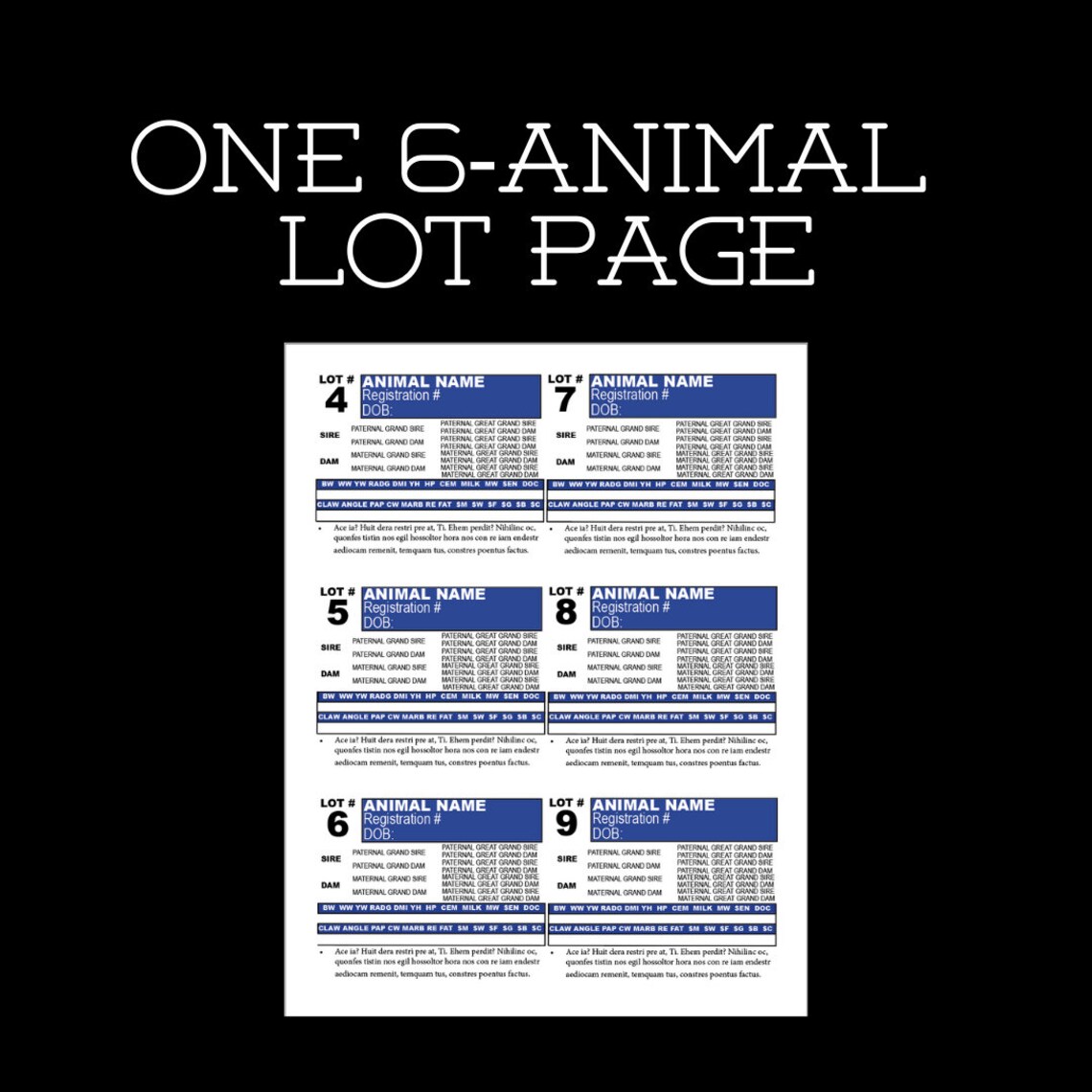 Bull Sale Catalog Indesign Template // Cattle Sale // Bull & Etsy