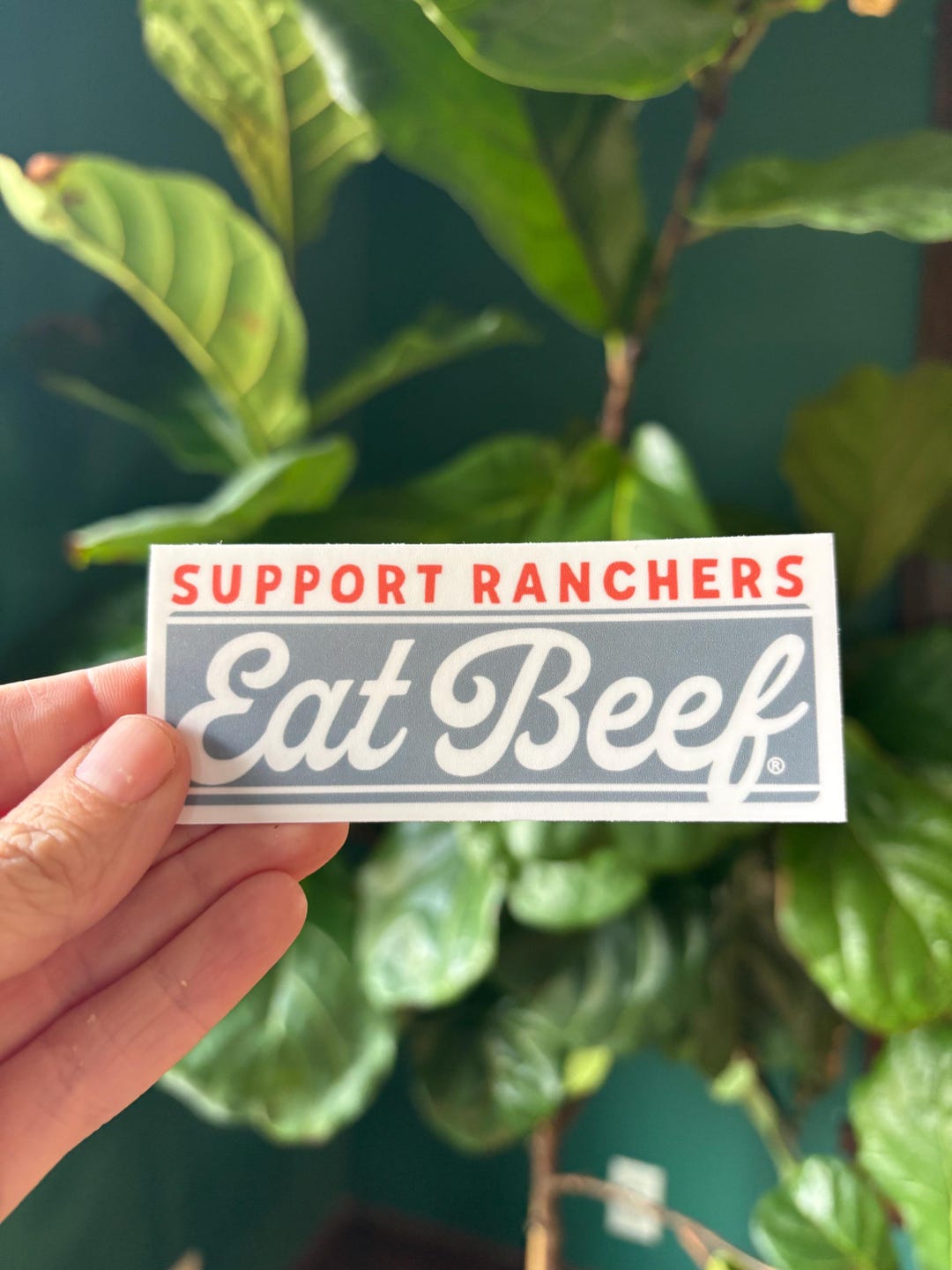 Eat Beef 2.5