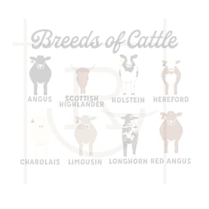 Personal Use Cattle Breeds Graphic  // Livestock Clipart // Cattle SVG // DXF // PNG // Instant Download //