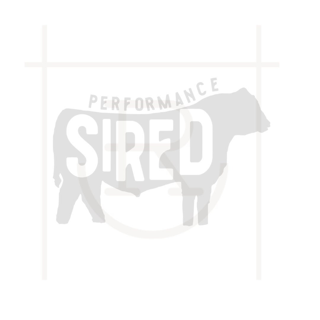 Performance Sired Graphic // Western Baby SVG // Ranch Kid // Roping ...