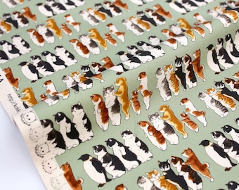 Tissu Japonais Kokka Mofusand Chats Collage - Toile Coton Oxford - Menthe - 50cm