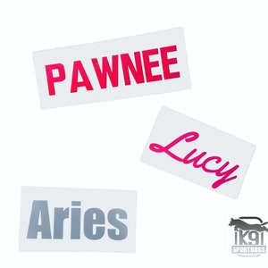 Custom Dog Name REFLECTIVE Decals