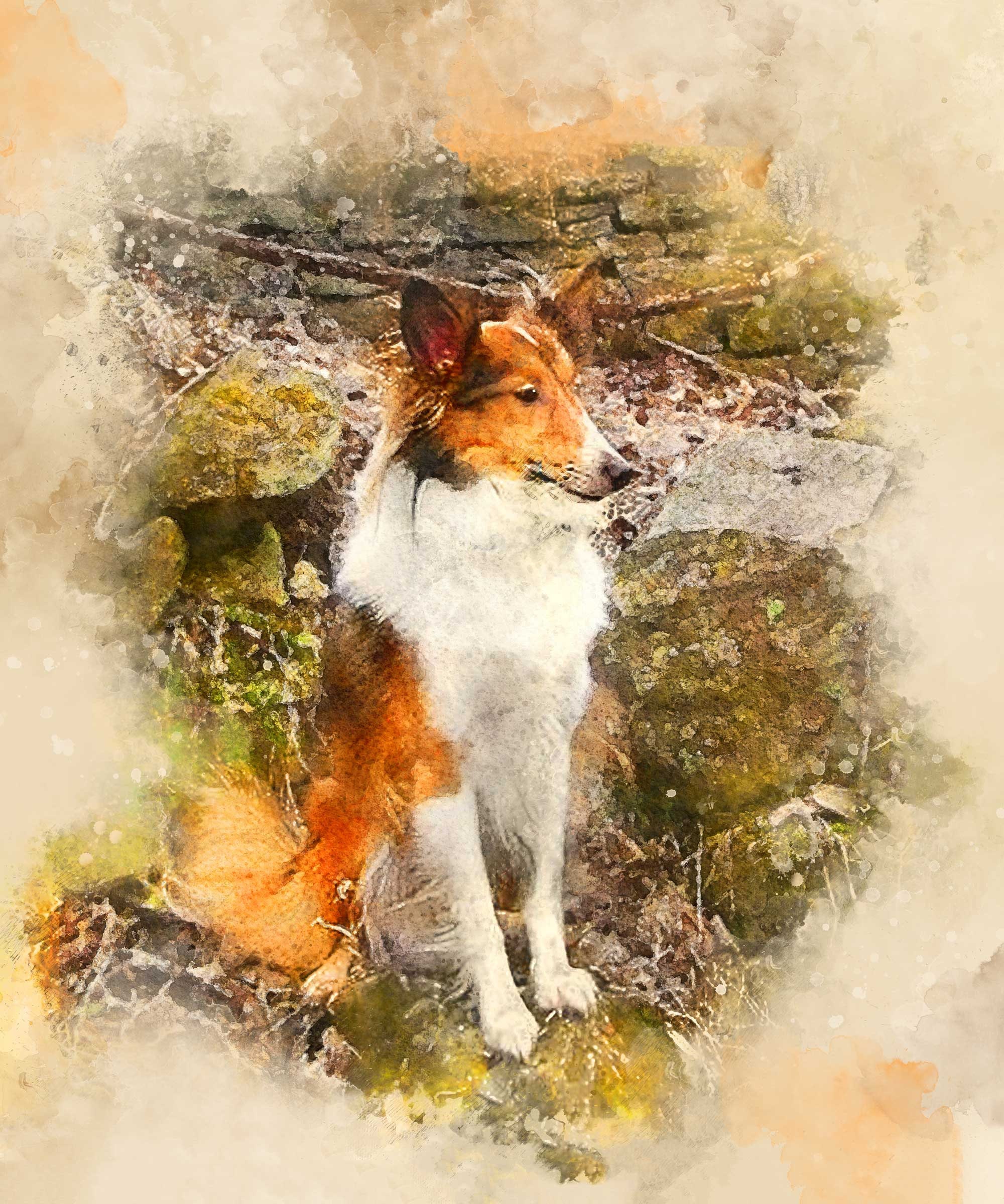 Custom Pet Portrait Dog Memorial Custom Dog Portrait Rough Etsy