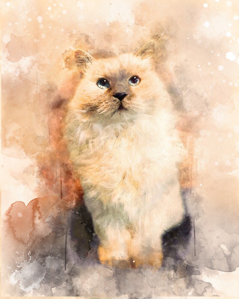 Custom Digital Watercolor Cat Portrait, pet sympathy gift, Cat Memorial, cat lover gift, Personalized Gift, painting, pet illustration image 2