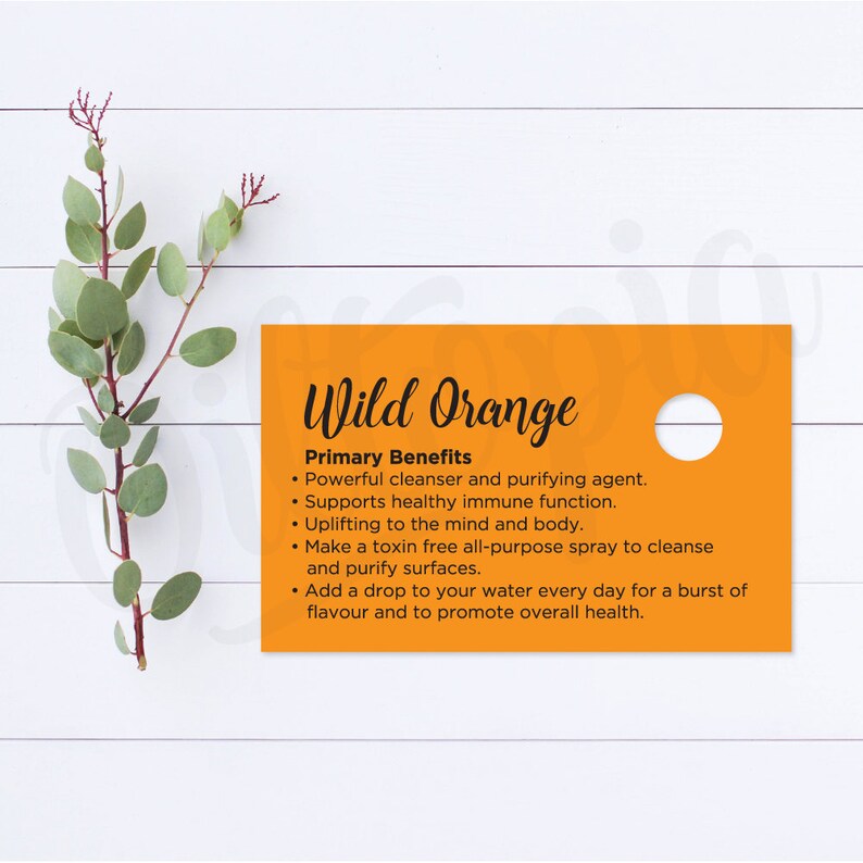 Wild Orange Essential Oil Sample Cards dōTERRA business ...
