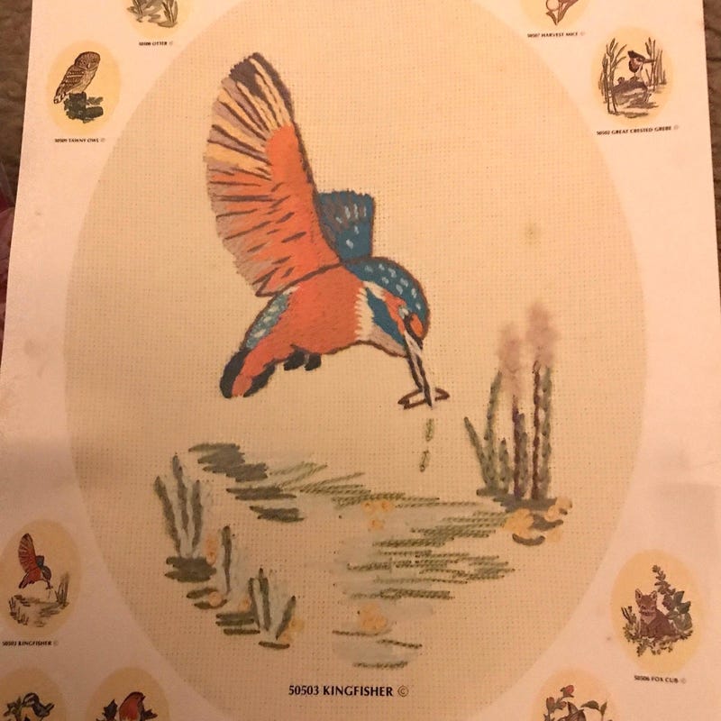 Kit De Couture Vintage Crewel Creative - Échantillonneur De Baies #877 - Neuf