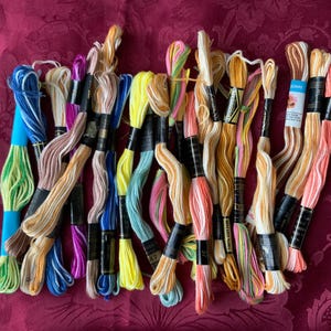 Embroidery threads bundle. All variegated  threads in a variety of colours. Six strands, 8.75 yds per skein.