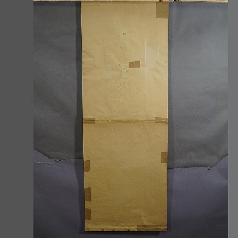 Antique Foldable Anatomical Wall Chart Depicting Human Musculature ...