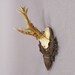 Great Roe Deer Trophy Mount on Wooden Carved Plaque Ca. 1946 - Etsy