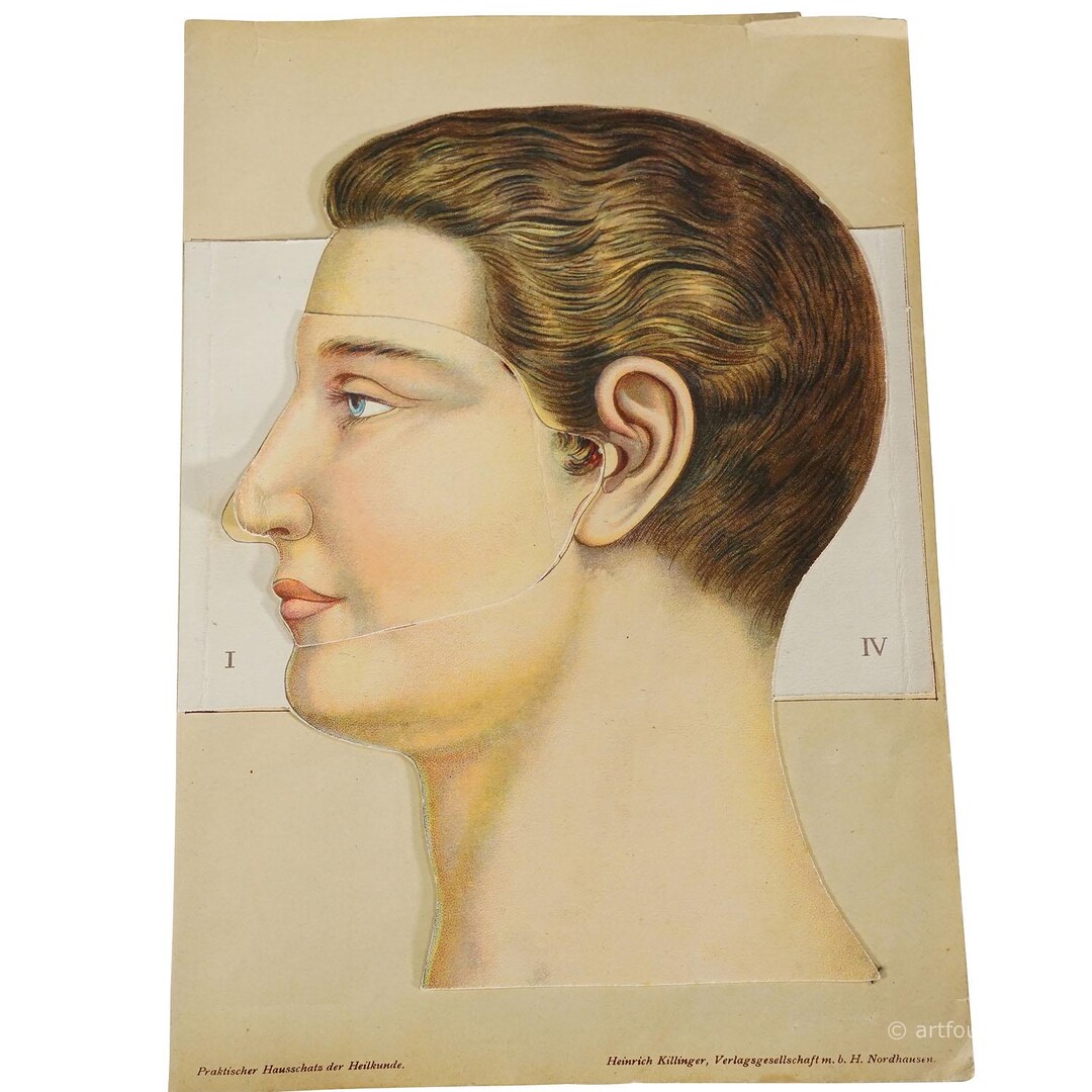 1900s Foldable Anatomical Brochure Depicting the Human Head - Etsy