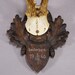 Great Roe Deer Trophy Mount on Wooden Carved Plaque Ca. 1946 - Etsy