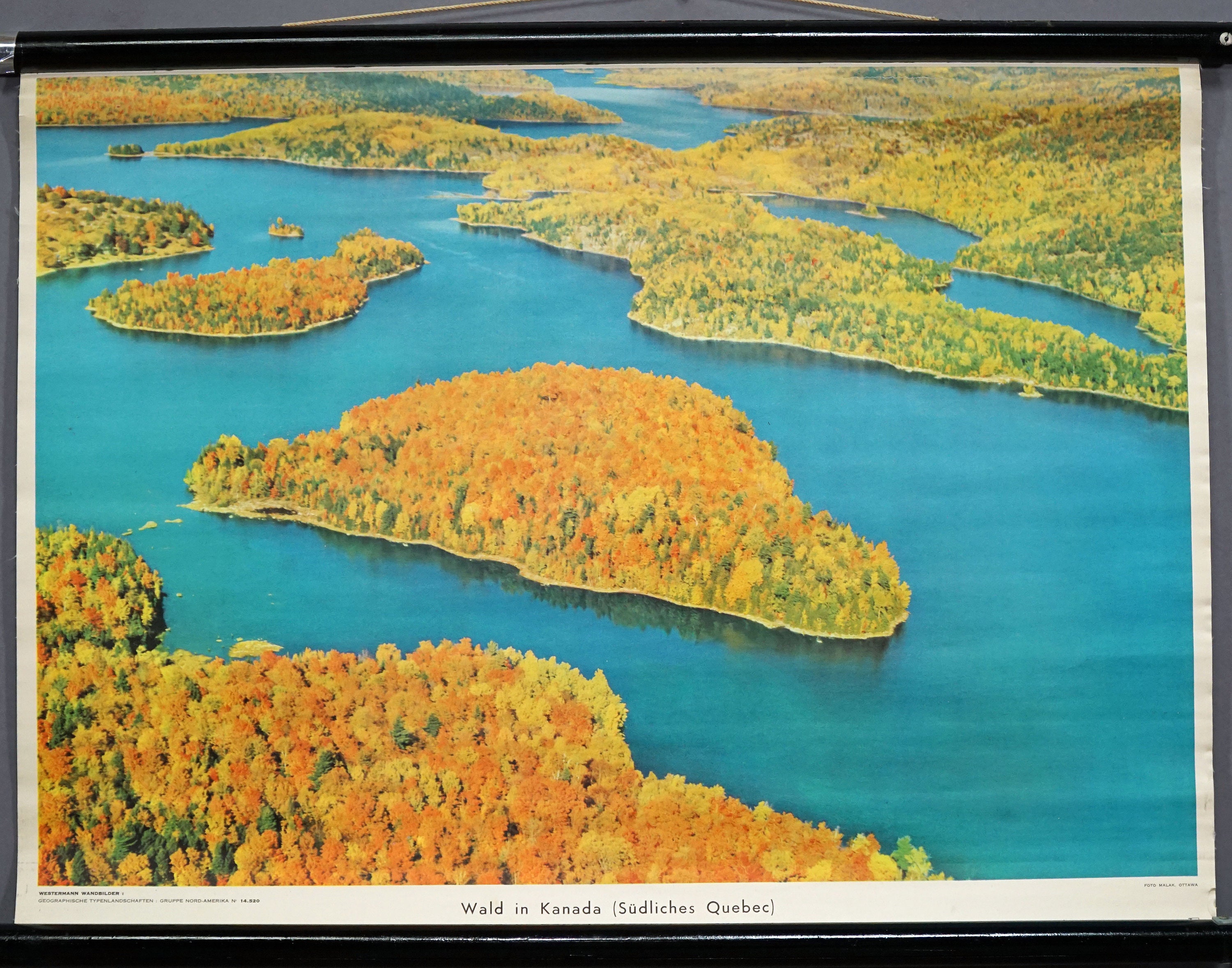Cottagecore Wall Chart Vintage Poster Forest In Canada Etsy cottagecore-wall-chart-vintage-poster-forest-in-canada-etsy