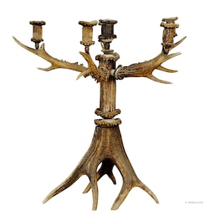 Large Five Armed Cabin Decor Antler Candelabra 1880