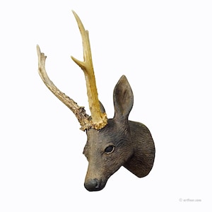 Great Antique Black Forest Plaster Deer Head ca. 1900s