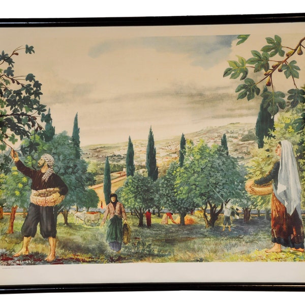 vintage poster rollable wall chart van Hagdahl collecting figs mediterrane scene